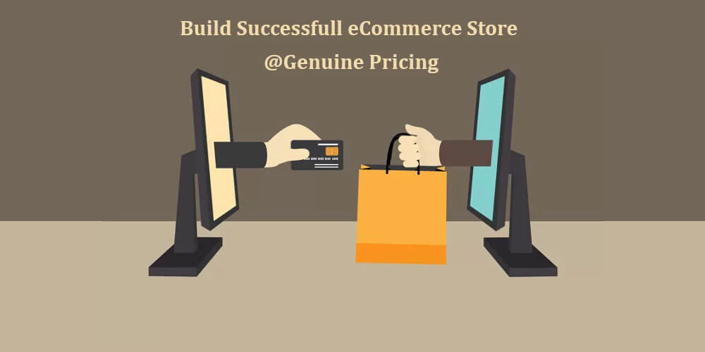Build Successful eCommerce Store @Genuine Pricing