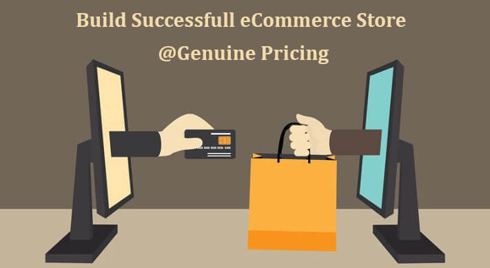 Build-Successfull-eCommerce-Store-@Genuine-Pricing Build Successful SEO friendly eCommerce Store