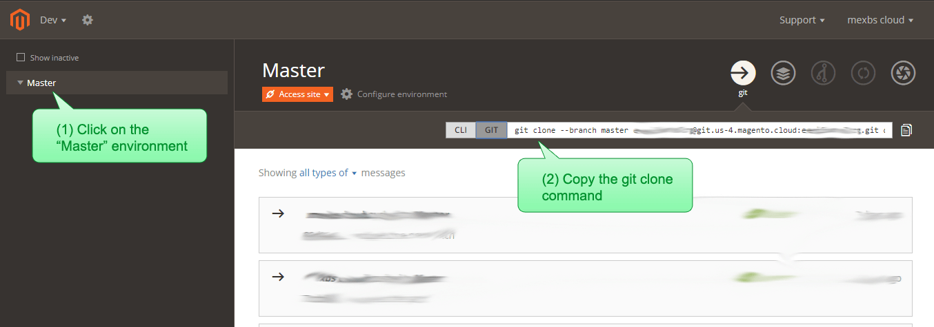Select the “Master Environment” in the next screen